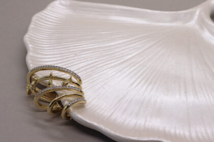 Altın Renk Taş Detaylı Kıkırdak Küpesi